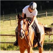 Coach metal, preparation pour la compétition, spécialité en equitation